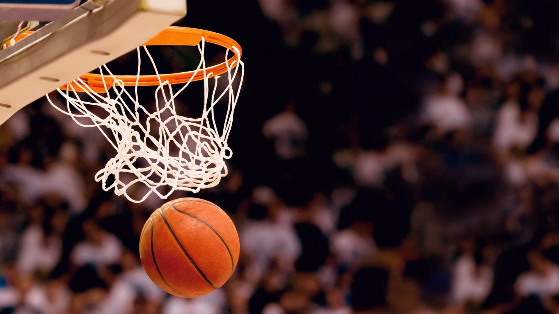 深圳队血战掘金，福克斯一战封神！CBA小将打爆NBA全明星，球迷直呼，这剧本谁敢信？